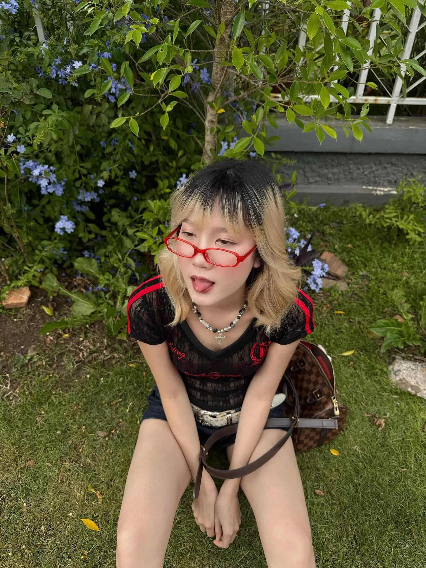 โนว์เบลล์